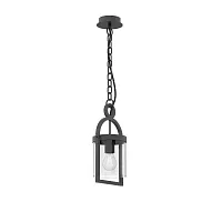 Подвесной светильник Maya 6555 Mantra уличный IP54 чёрный 1 лампа, плафон прозрачный в стиле современный E27